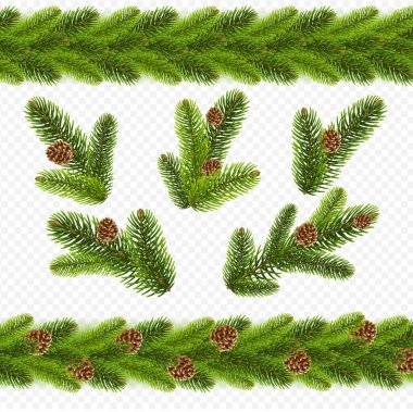 Noel ağacı dalları ve koniler Şeffaf Arkaplan