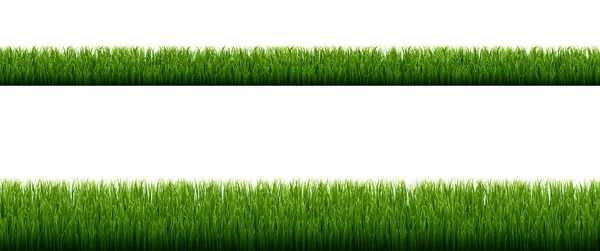 Fronteras de hierba verde con fondo blanco aislado — Vector de stock