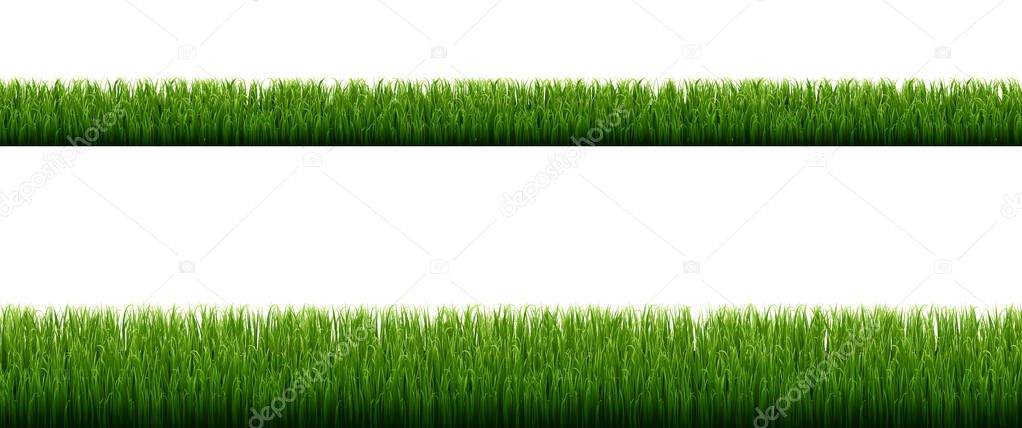 Green Grass Borders With Isolated White Background