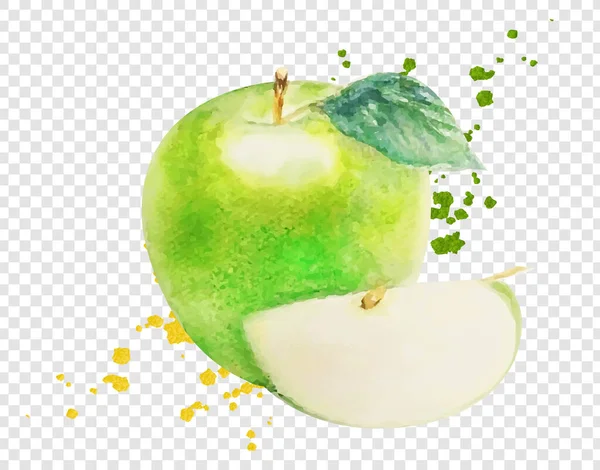 Akvarell Grön Apple Isolerad Transparent bakgrund — Stock vektor