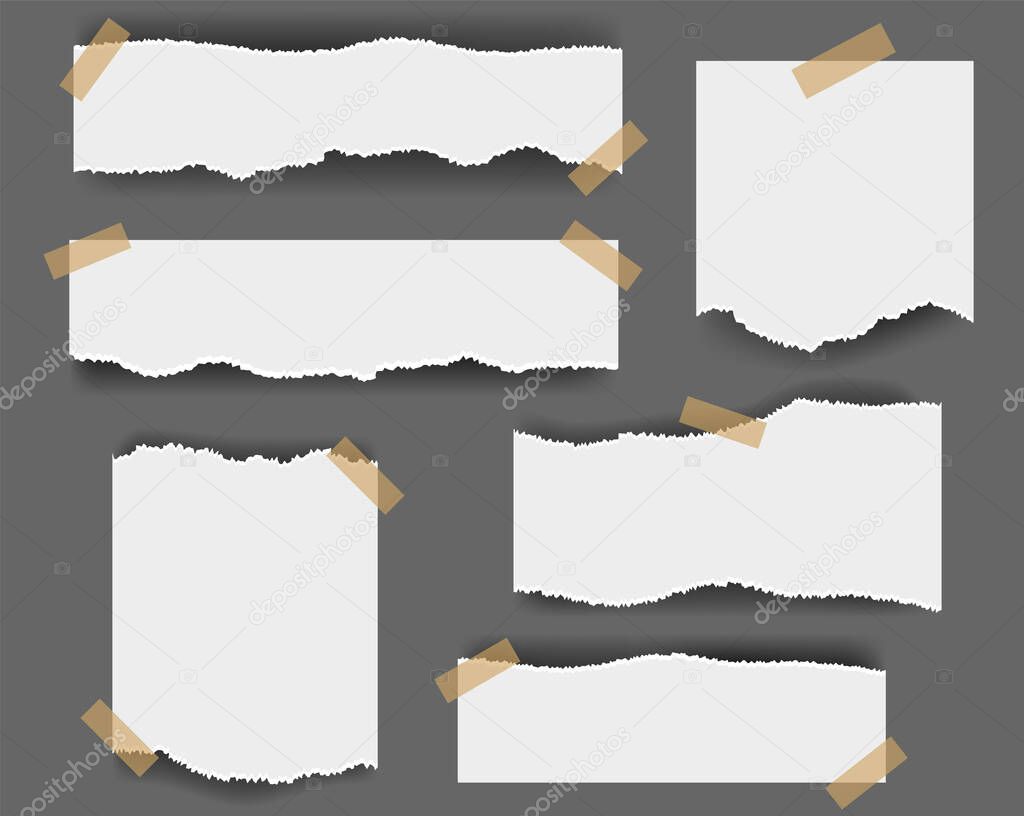 Ripped paper Isolated Grey Background