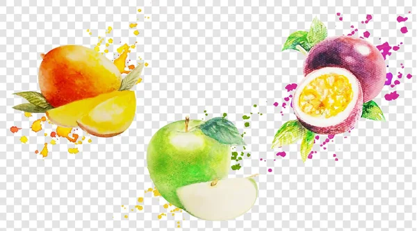Owoce z farbami Zestaw Izolowane przezroczyste tło — Wektor stockowy