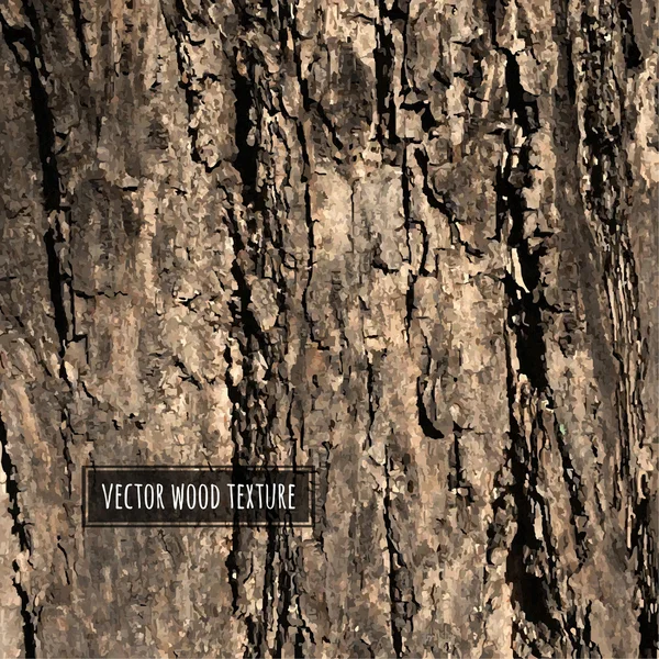 Vektor Holz Textur — Stockvektor