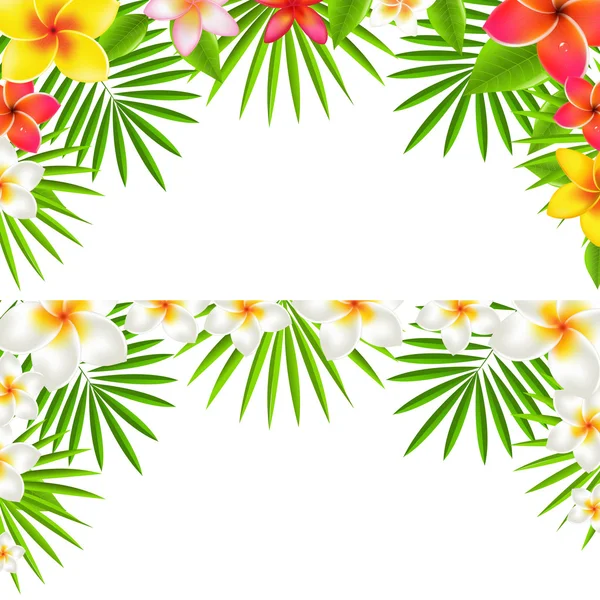 Ensemble de bordure de fleurs tropicales — Image vectorielle