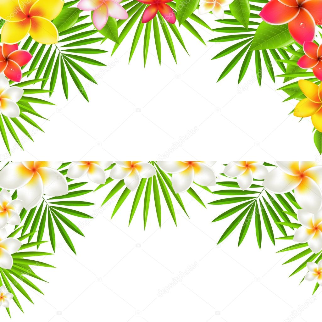 Tropical Flowers Border Set