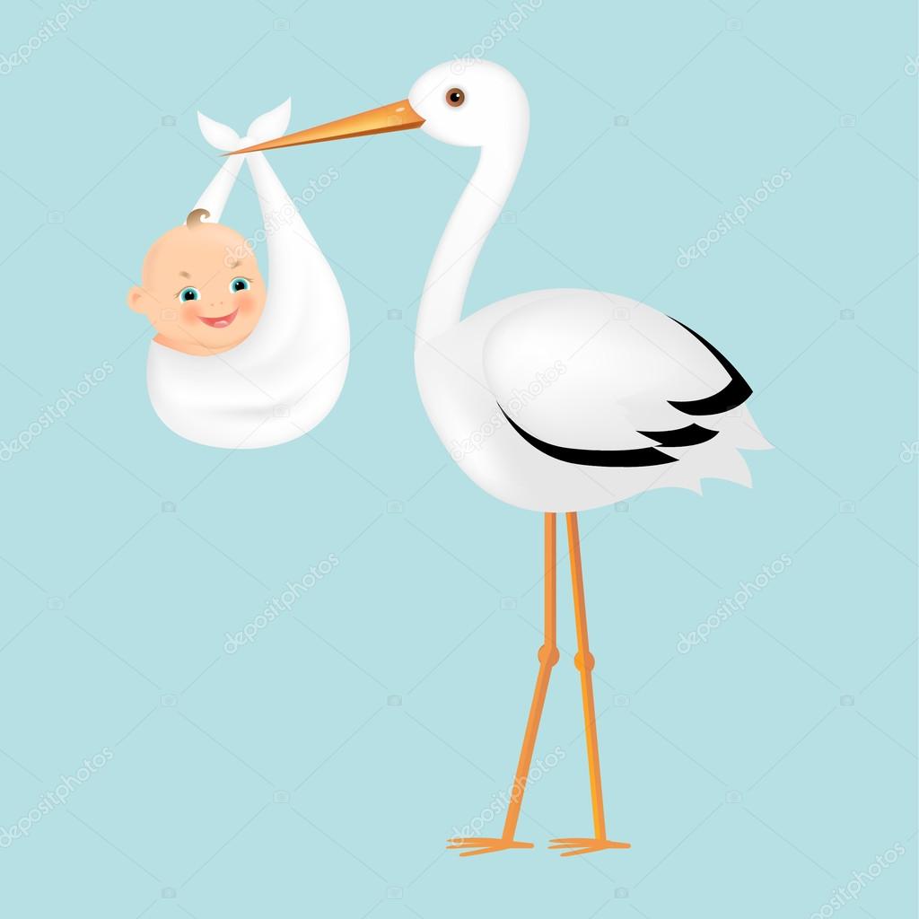 Poster Stork With Baby 