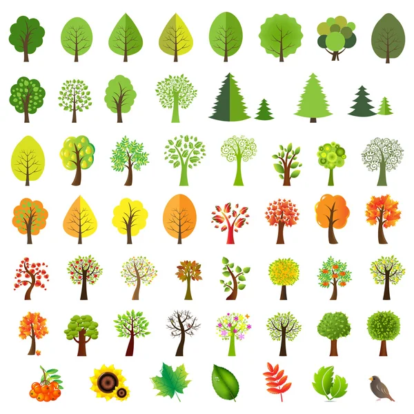 Velký Set stromy — Stockový vektor