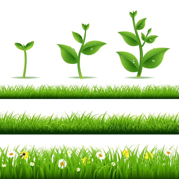 Big Grass Set With Plants — Stock Vector