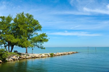 Tampa Bay görünümünü