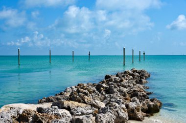 Tampa Bay görünümünü 