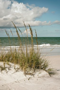 güzel florida kıyı şeridi