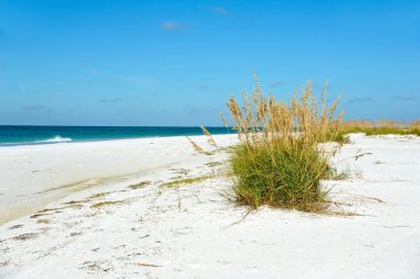 güzel florida kıyı şeridi