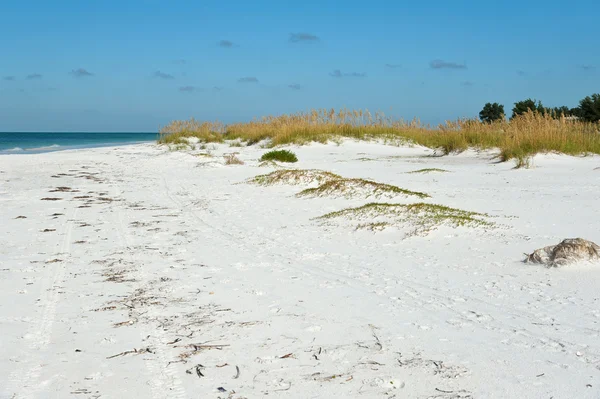 フロリダ州の美しい海岸線 — ストック写真