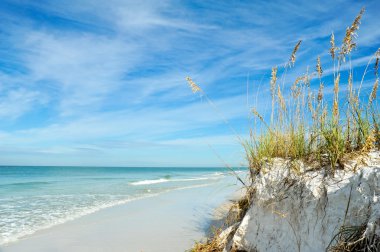 güzel florida kıyı şeridi