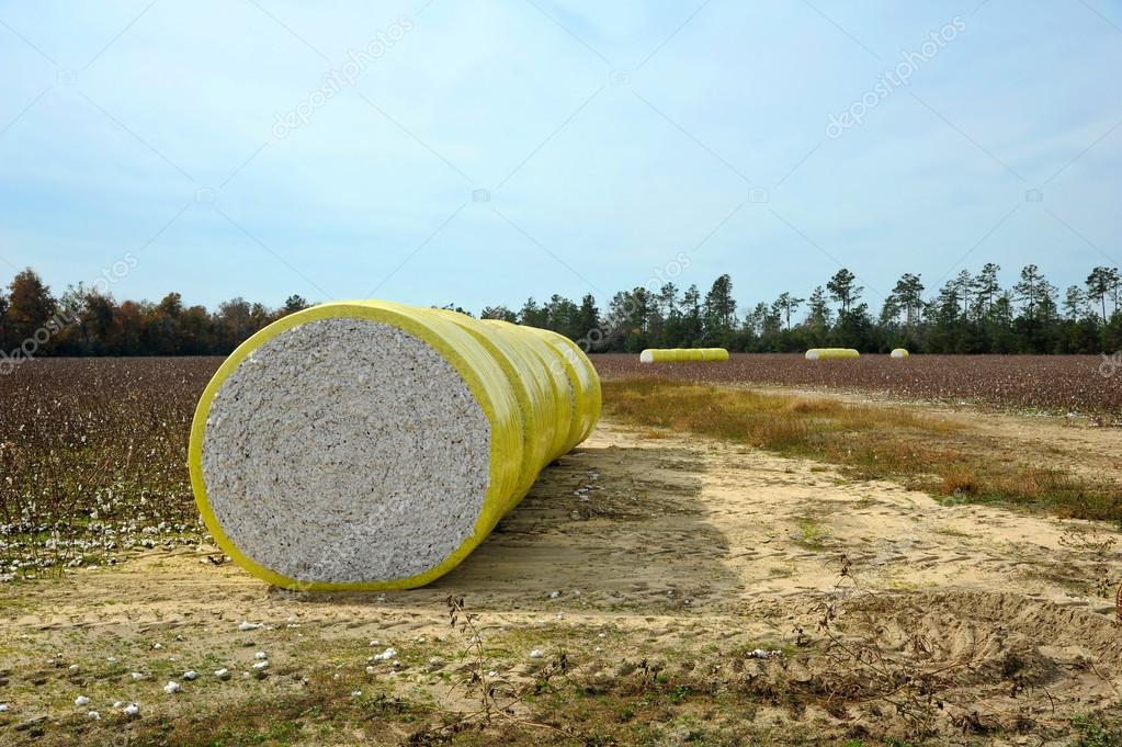 Bale of Cotton — Stock Photo © EyeMark 58392315