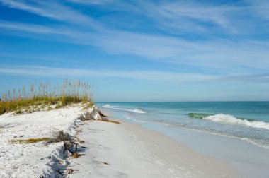 güzel florida kıyı şeridi