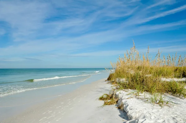 Hermosa costa de Florida —  Fotos de Stock