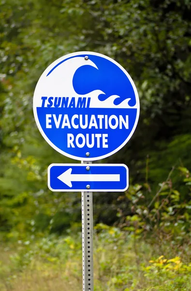 Señal de ruta de evacuación de tsunami —  Fotos de Stock