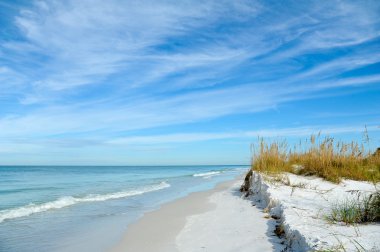 güzel florida kıyı şeridi