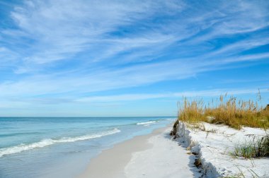 Beautiful Florida Coastline clipart