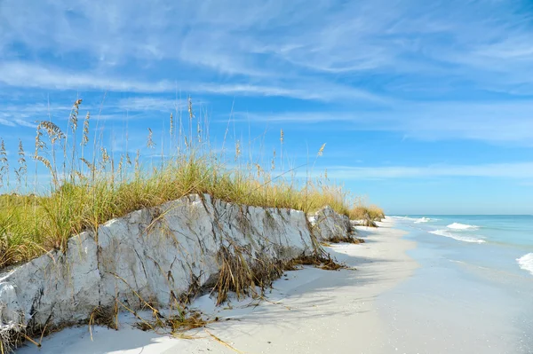 Belle côte de Floride — Photo