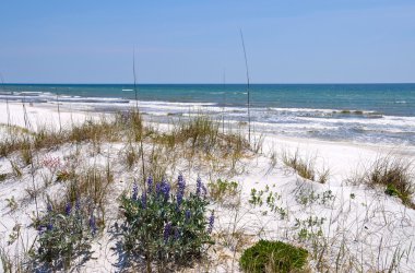 güzel florida kıyı şeridi