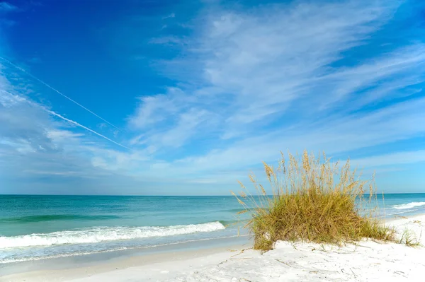 Güzel florida kıyı şeridi — Stok fotoğraf