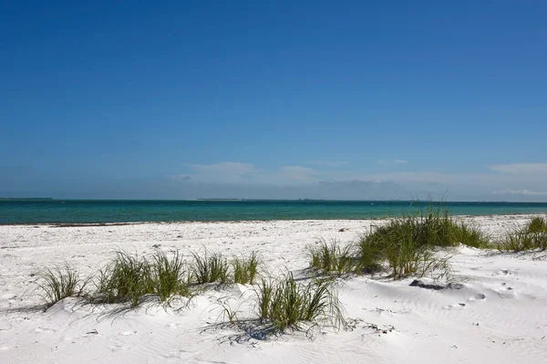 Prachtige kustlijn van florida — Stockfoto