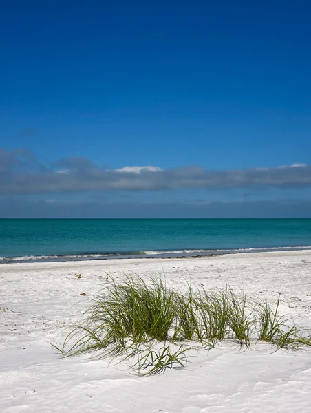 Bela costa da Flórida — Fotografia de Stock