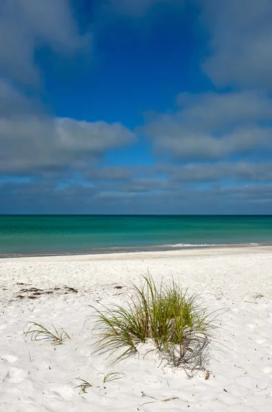 Güzel florida kıyı şeridi — Stok fotoğraf