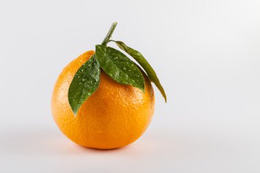 Turuncu meyve yaprakları ile