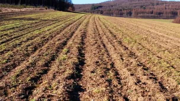 Campo Fresco Arado Semeado Filmado Para Lados — Vídeo de Stock