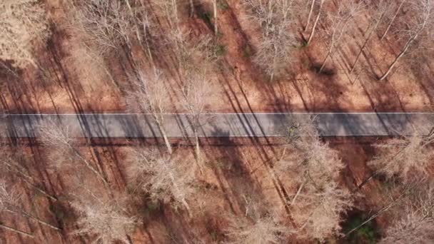 Una Conducción Blanca Camino Bosque Invierno Soleado Desde Arriba — Vídeos de Stock