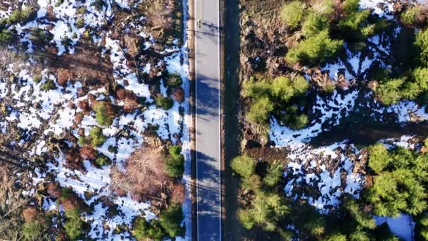 Ein Einsamer Radfahrer Auf Einer Winterlichen Waldstraße — Stockvideo