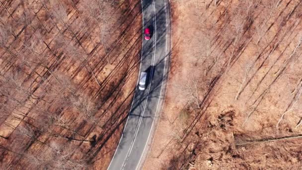 Mucho Tráfico Una Calle Bosque Sol Invierno Desde Arriba Perpendicular — Vídeo de stock