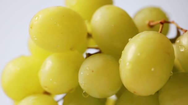 Świeże Zielone Winogrona Zamykają Się Zwolnionym Tempie — Wideo stockowe