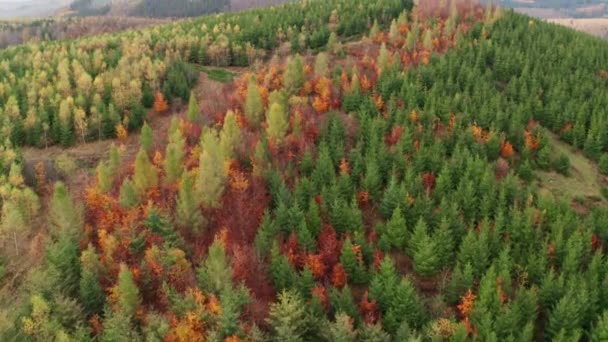 Rothaargebergte Heuvels Duitsland Herfst Gefilmd Met Een Pan Naar Boven — Stockvideo