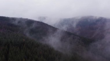 Almanya 'daki sisli Rothaargebirge Orman Dağları manzarası