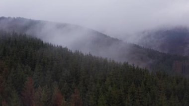 Yukarıdan sisli bir iğne öncü tepe manzarası