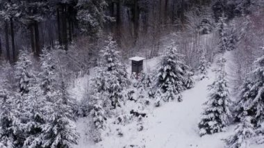 Karlı bir kış ormanında bir av tüneği