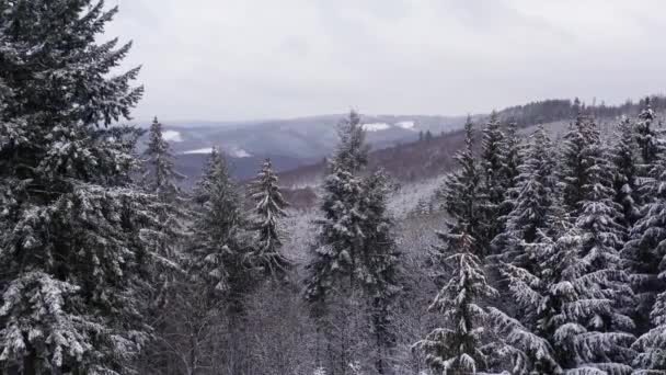 Rothaar Bergen Duitsland Winter — Stockvideo