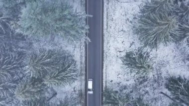 Kış yolu üzerindeki ormanda bir araba.