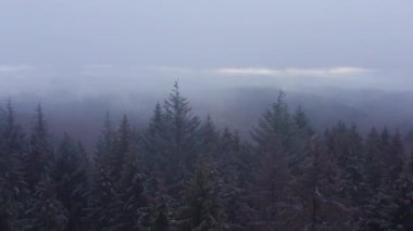 Bir orman üzerinde kar fırtınası