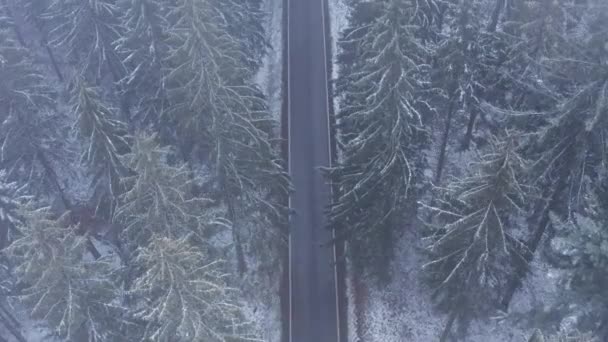 Śnieżna Zimowa Droga Sfilmowana Góry — Wideo stockowe