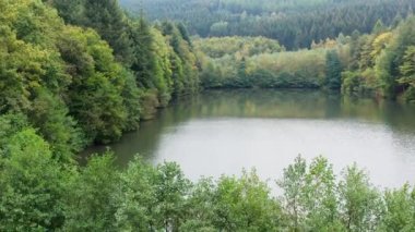 Yeşil orman vadisinde bir göl