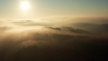 Güneşli sisli kış ormanı tepeleri gün batımında