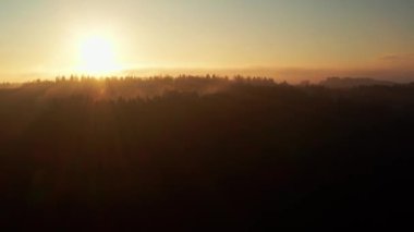 Kış ağacı siluetleri güzel bir günbatımının önünde 4K 'da çekildi.