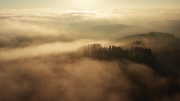 Brouillard Ensoleillé Hiver Forêts Collines Coucher Soleil — Video