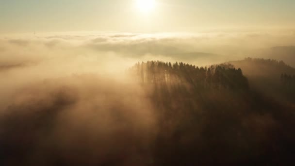 Сонячні Туманні Зимові Лісові Пагорби Заході Сонця — стокове відео