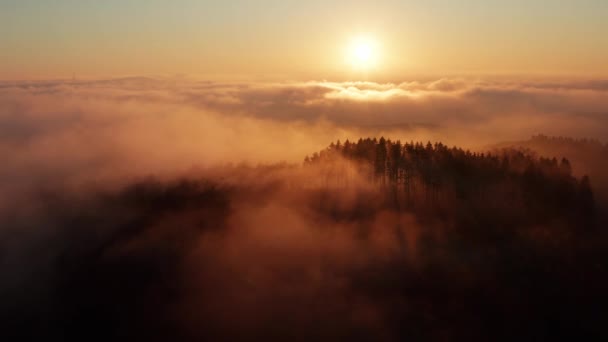 Brouillard Ensoleillé Hiver Forêts Collines Coucher Soleil — Video